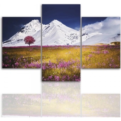 Divio Třídílný obraz na plátně hory, vzor 12244 Velikost: 120x180 cm