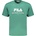 Fila zelené