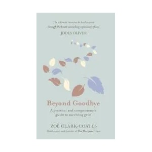 Beyond Goodbye | Zoe Clark-Coates (ISBN: 9781409185406)