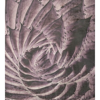 DIMEX MS-3-0352 vliesová fototapeta rozměry 225 x 250 cm