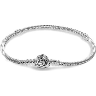PANDORA Moments 593211C00-20