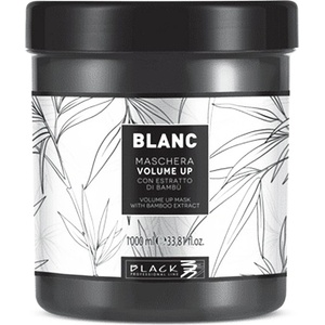 Black Professional Blanc Volume Up volumising mask 1 l