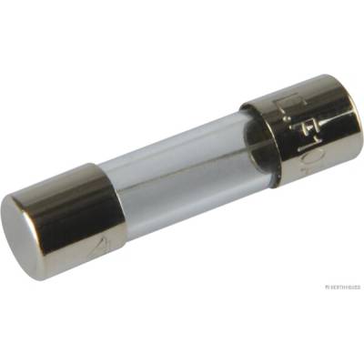 Poistka HERTH+BUSS ELPARTS 50295056