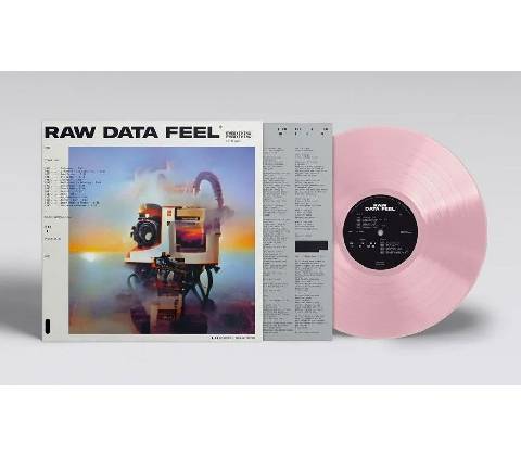 Everything Everything - Raw Data Feel Pi LP