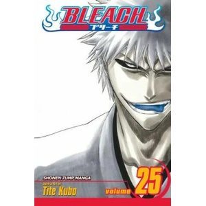 Bleach, Vol. 25 (ISBN: 9781421517964)
