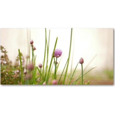 Foto obraz sklo tvrzené pažítka 100x50 cm