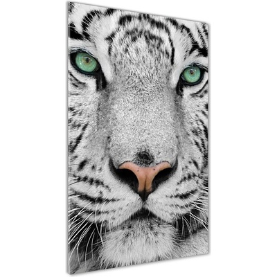 Vertikálny foto obraz sklenený Biely tiger 50x100 cm