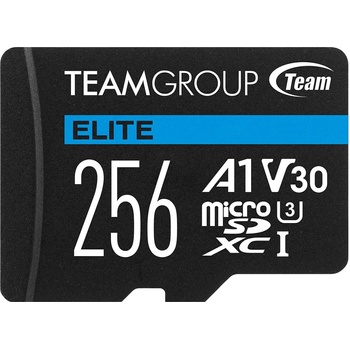 Team Group microSDXC 256GB TEAUSDX256GIV30A103