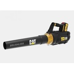 Caterpillar DG250