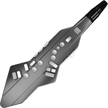 Roland AE-05 Aerophone GO