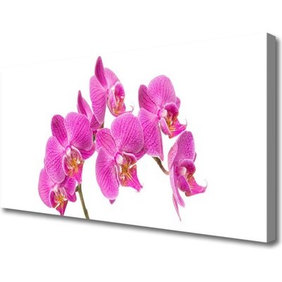 Obraz Canvas Orchidea kvety príroda 100x50 cm