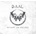 Daal - DECODING THE EMPTINESS CD