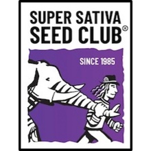 Super Sativa Seed Club AUTO Sweet Bourbon Kush semena neobsahují THC 3 ks