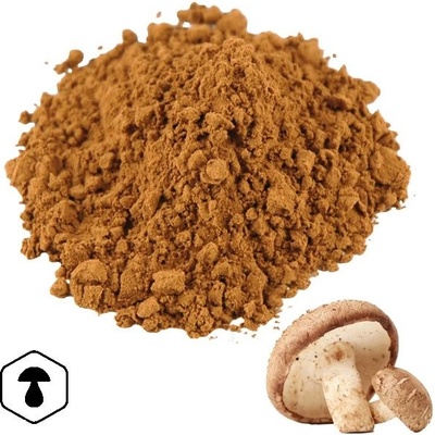 LifeChi Shiitake Lentinula edodes extrakt v prášku 50 g
