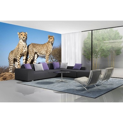Dimex MA-5-0572 Samolepicí vliesová fototapeta na zeď Mladí gepardi rozměry 375 x 250 cm