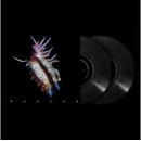 Sub Focus - Evolve LP