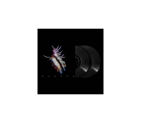 Sub Focus - Evolve LP