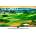 LG 75QNED813QA