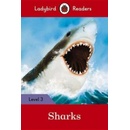 Sharks