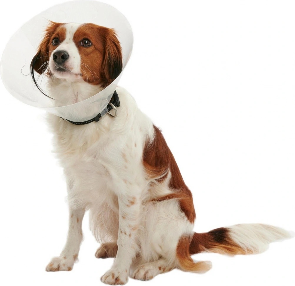 buster clic collar 30cm