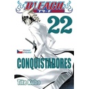 Bleach 22