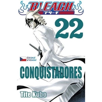 Bleach 22