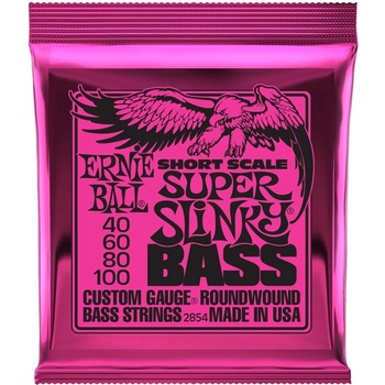 Ernie Ball 2833