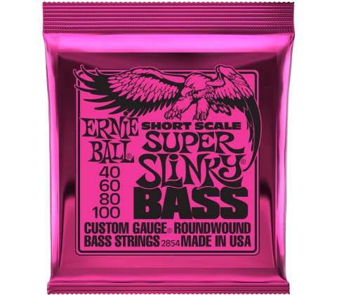Ernie Ball 2833