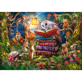Schmidt Spiele - Puzzle Forest Stories at Night - 1 000 piese