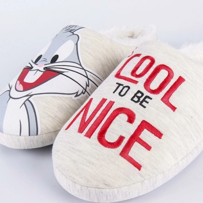 Looney Tunes papuče na doma