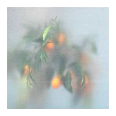 U-ziq & Mrs Jynx - Secret Garden LP