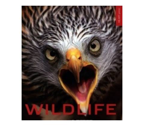 Wildlife