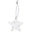Raeder Коледна висулка Ice Star на звездички 8, 5 см (C92222)