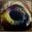 Arcade Fire - We LP