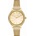 Paul Lorens PL10482B2-4D1