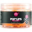Mainline Pop Up High Visual Mini 150ml 12mm Scopex Blackcurrant