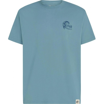 O'Neill O'Riginals Back Print modrá