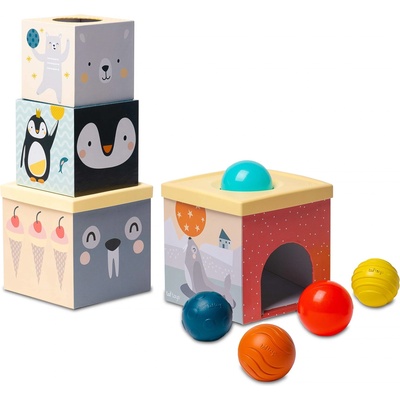 Сортер за подреждане Taf Toys - Северен полюс (TT12735)