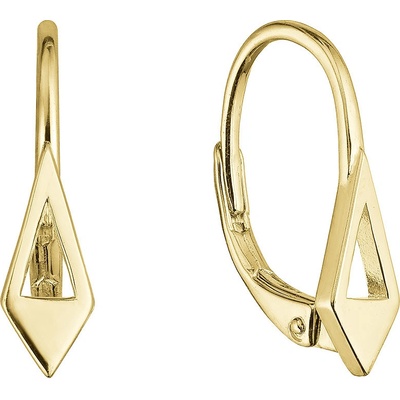 Pavona pozlacené stříbrné náušnice 61024