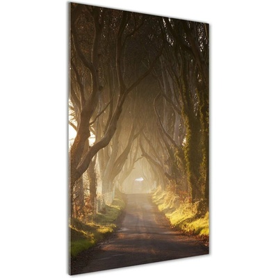 Vertikálny foto obraz sklenený Chodník v lese 50x100 cm