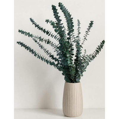 Stabilizovaný eukalyptus BABY, svazek zelených větviček 140g