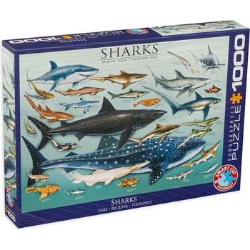 EUROGRAPHICS Пъзел Eurographics от 1000 части - Акули (EG60000079)