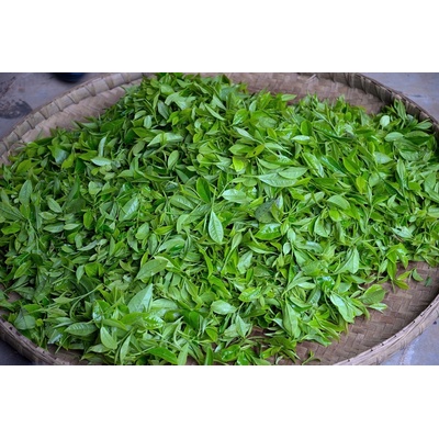 QuickTea Bio China Chun Mee 30 g