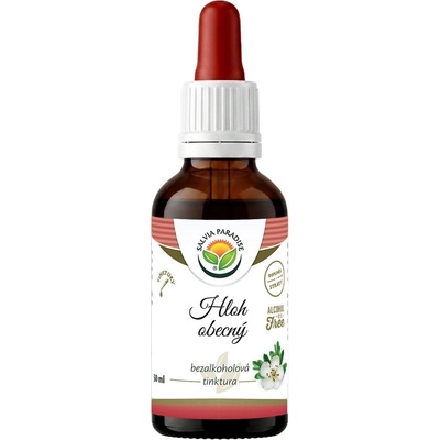 Salvia Paradise Hloh obecný AF tinktura 50 ml