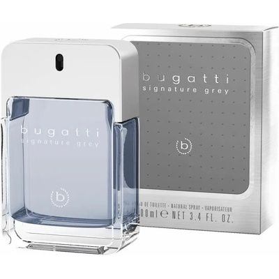Bugatti Signature Grey EDT 100 ml