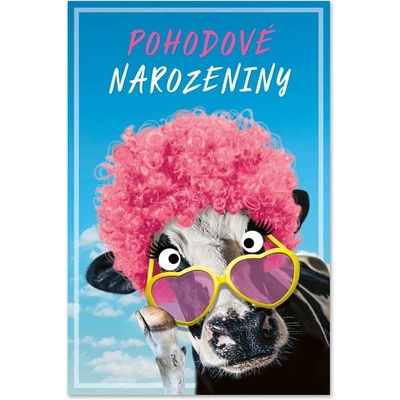 Ditipo Blahopřání HK - POHODOVÉ NAROZENINY HK