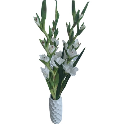 Umělá květina Gladiola / Mečík 96 cm, bílá UNI1001