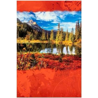 FANDY album MAIN 1, 9x13cm/200M