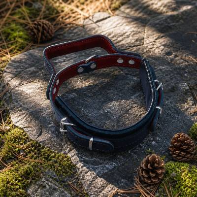 B&F TitanArmor Pro Kožený dogtrekkingový obojek s madlem