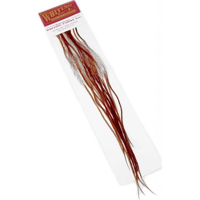 Whiting Kohoutí srpky 100 Pack grizzly přírodní